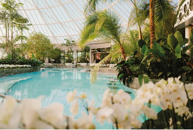 ENERGY Ehrenlose Geschenke Ade mit der Therme Erding